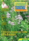 �12 (33)